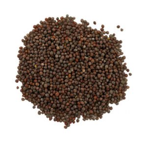 Black Mustard Seed 100 gm