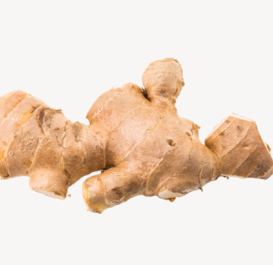 Ginger