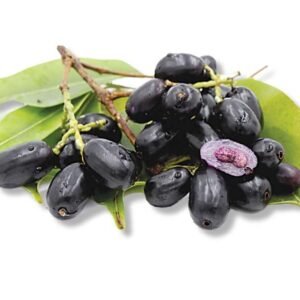 Jamun Pakistan