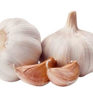 Garlic